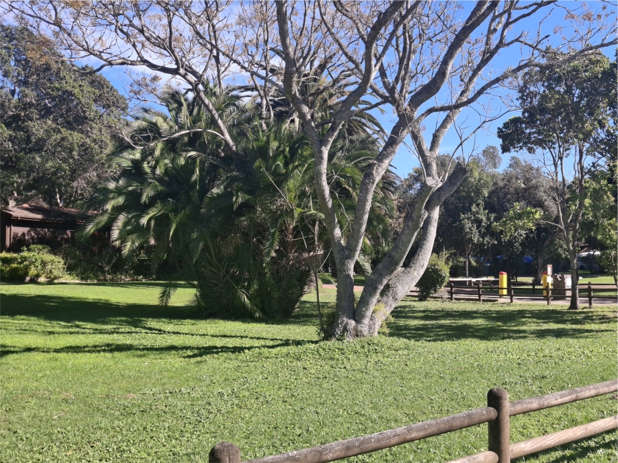 Commercial Property for Sale in Sedgefield Rural Western Cape